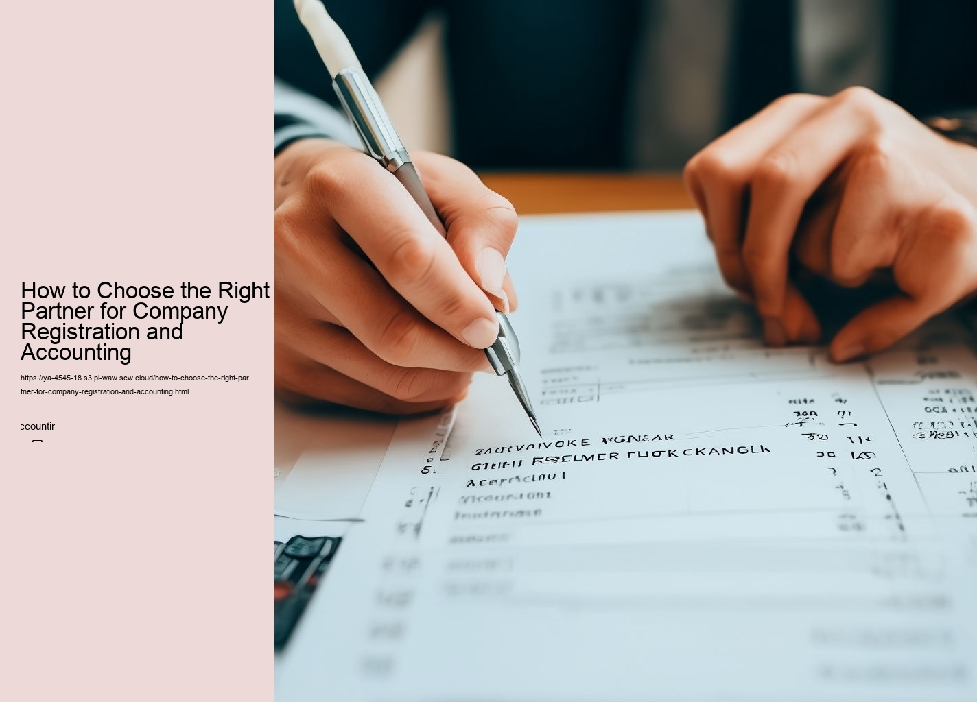 How to Choose the Right Partner for Company Registration and Accounting